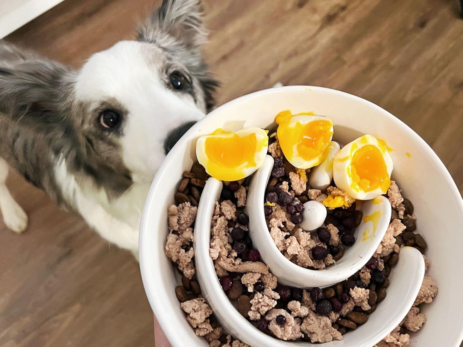 Le Tauci Pet bol ceramique – surface facile a nettoyer