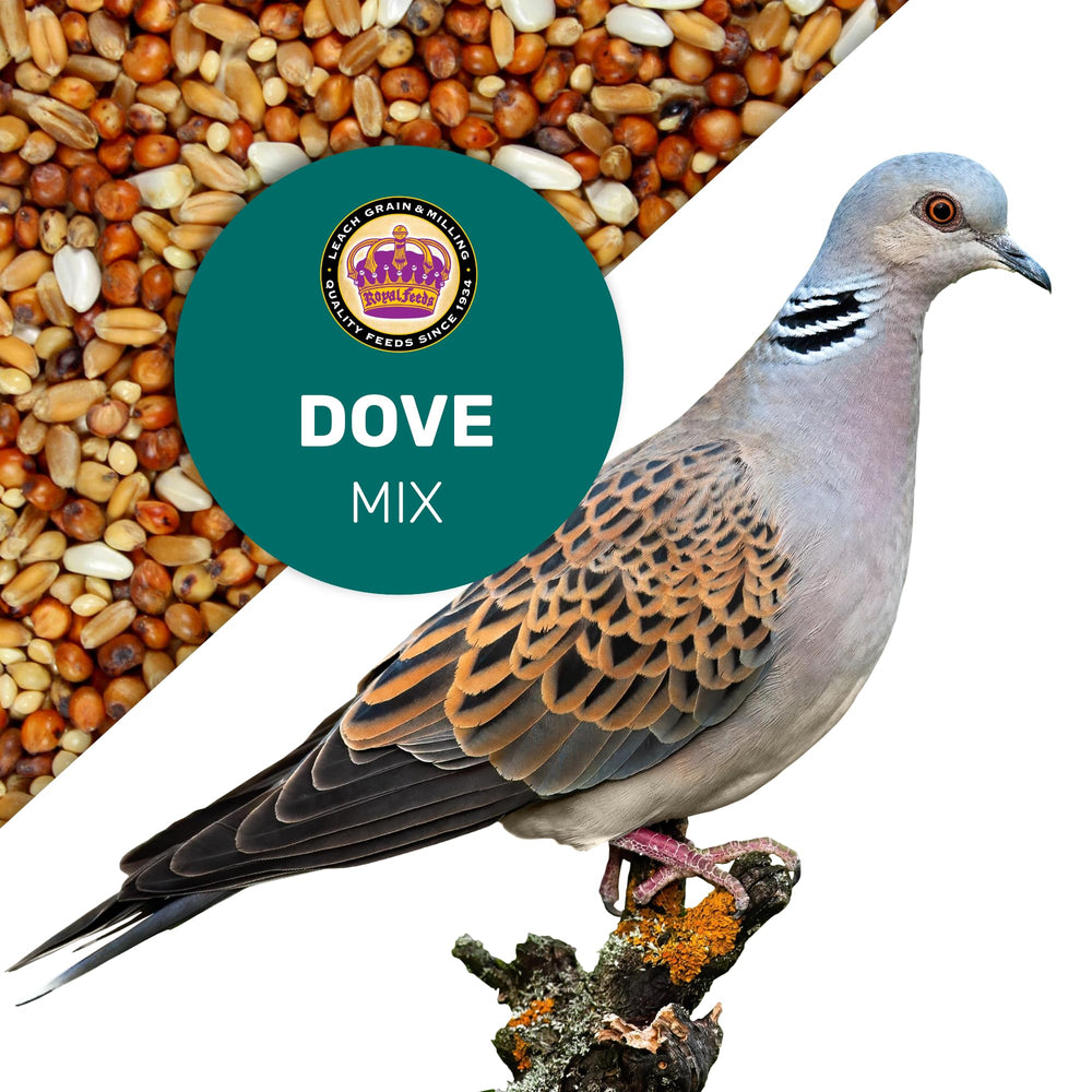Leach Dove Mix – énergie durable et croissance des oiseaux. 