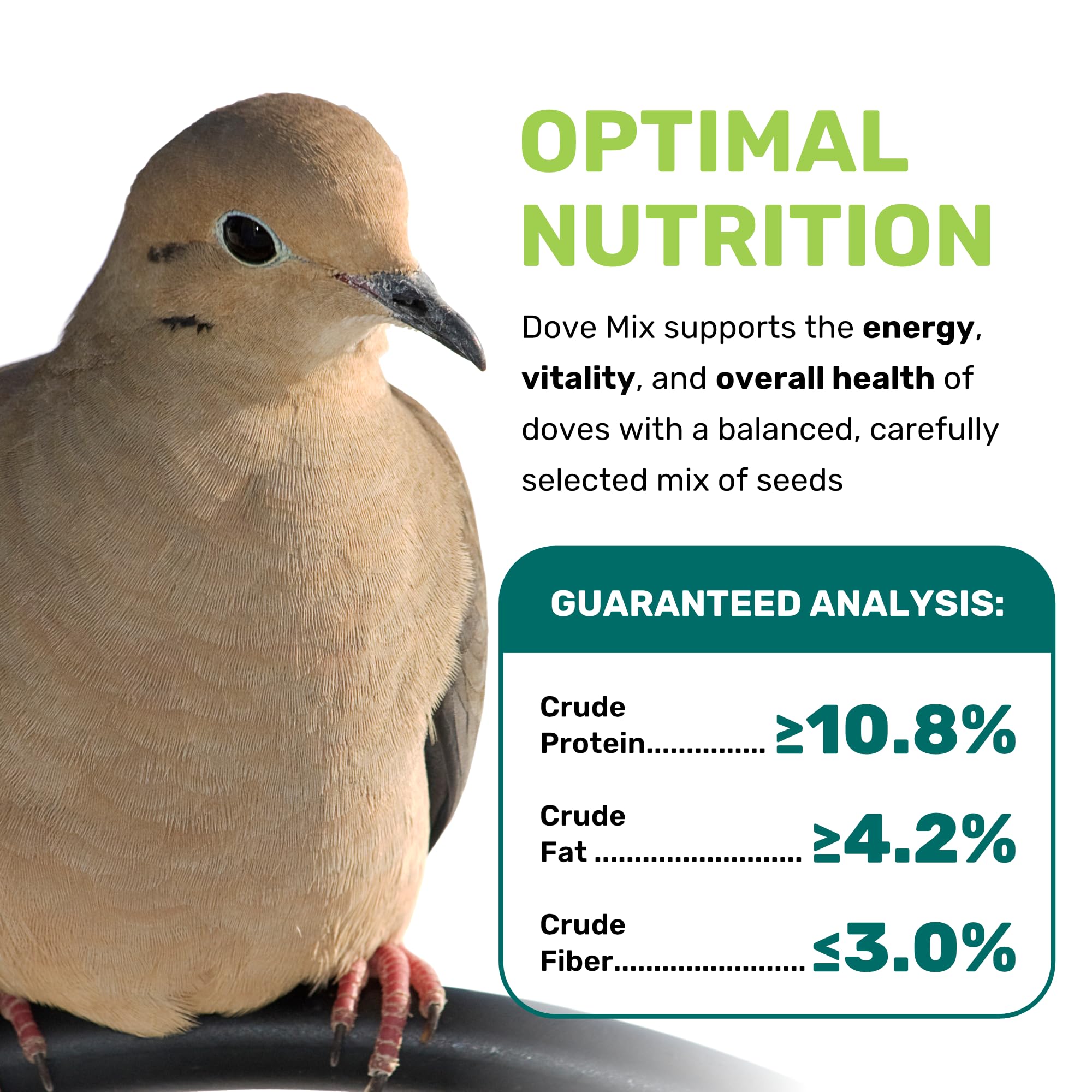 Leach Dove Mix – graines riches en nutrition pour énergie et croissance des oiseaux.