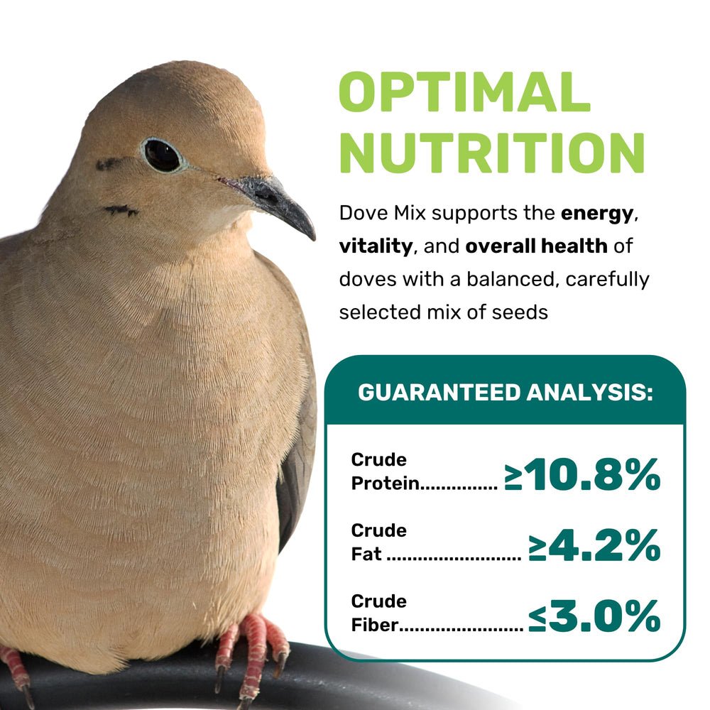 Leach Dove Mix – graines riches en nutrition pour énergie et croissance des oiseaux.