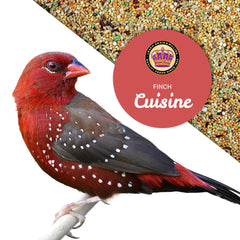 Finch Cuisine : légumes secs et fibres pour digestion équilibrée.