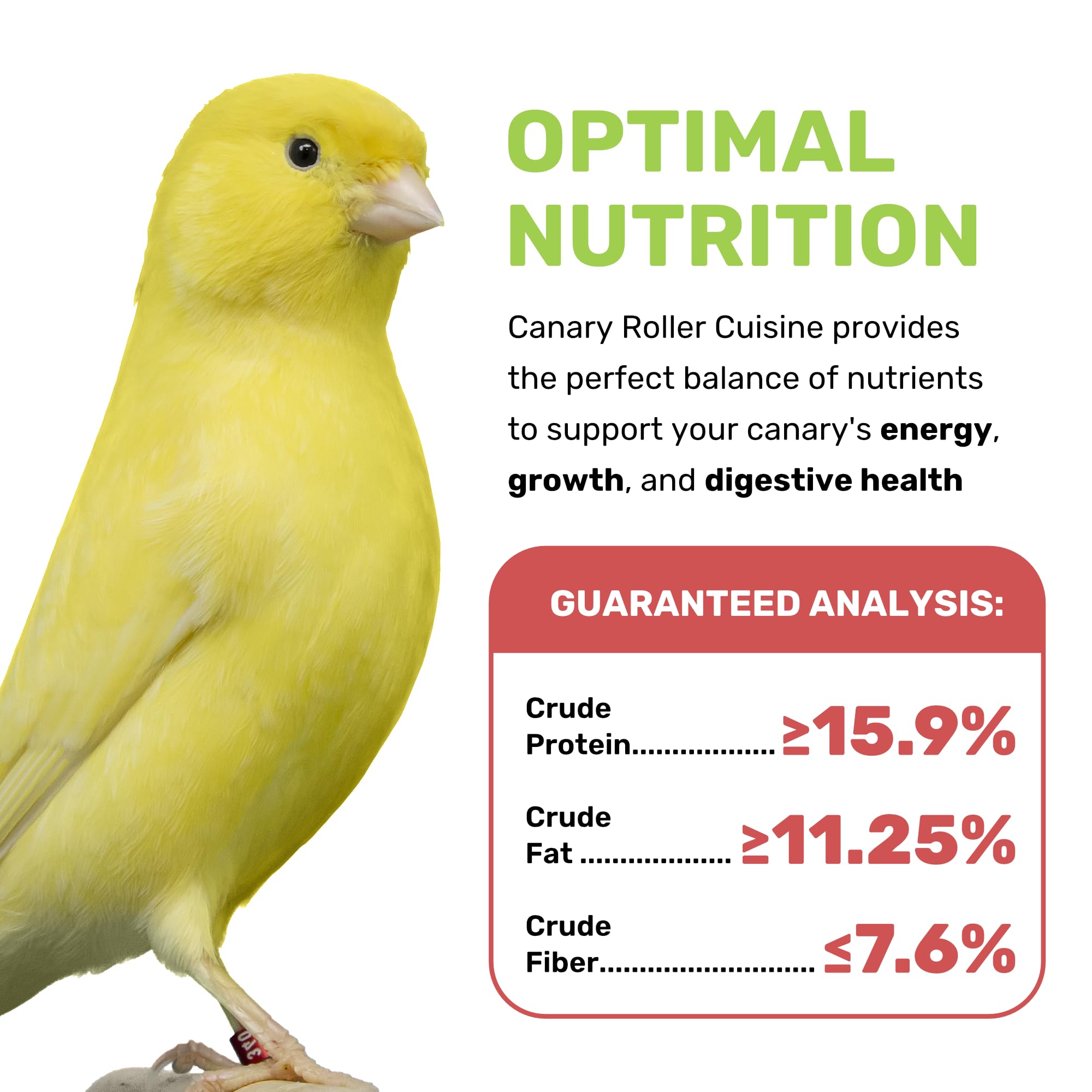 Canary Cuisine – ingrédients fruits et légumes, saveur naturelle pour canaris.