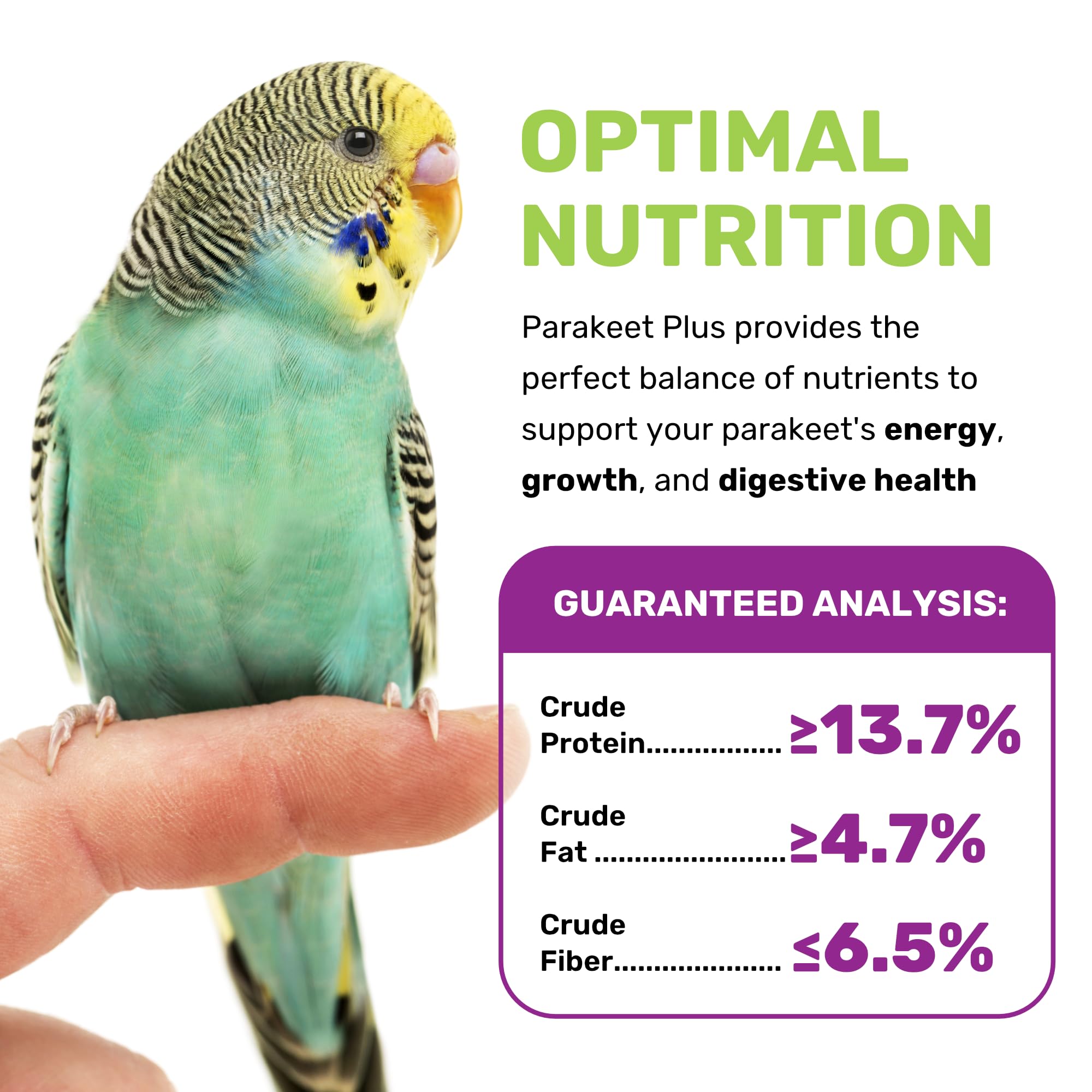 Parakeet Food Plus – ingrédients premium pour énergie et croissance.