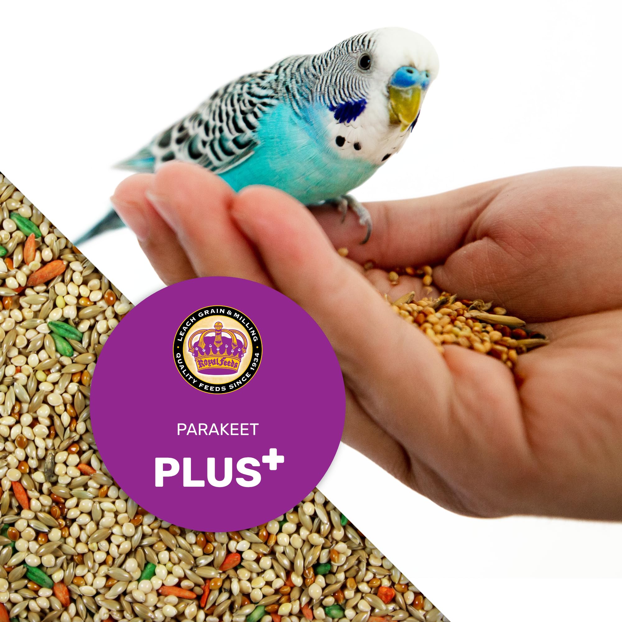 Parakeet Food Plus – saveur attrayante favorisant une prise régulière.