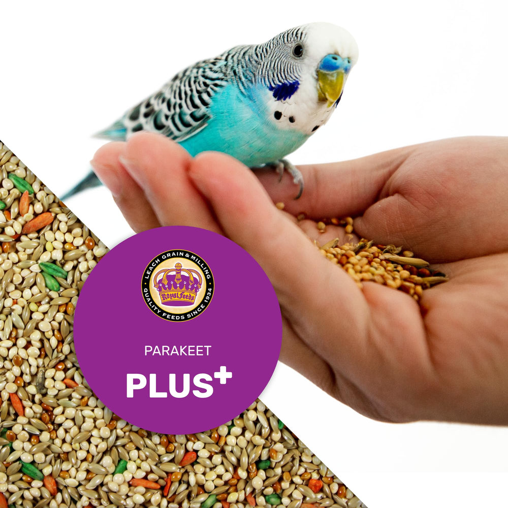 Parakeet Food Plus – saveur attrayante favorisant une prise régulière.