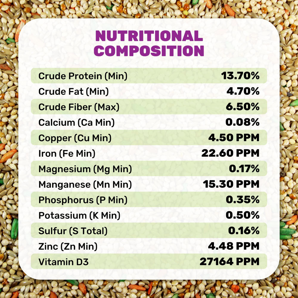 Parakeet Food Plus – usage extérieur pour mangeoires.