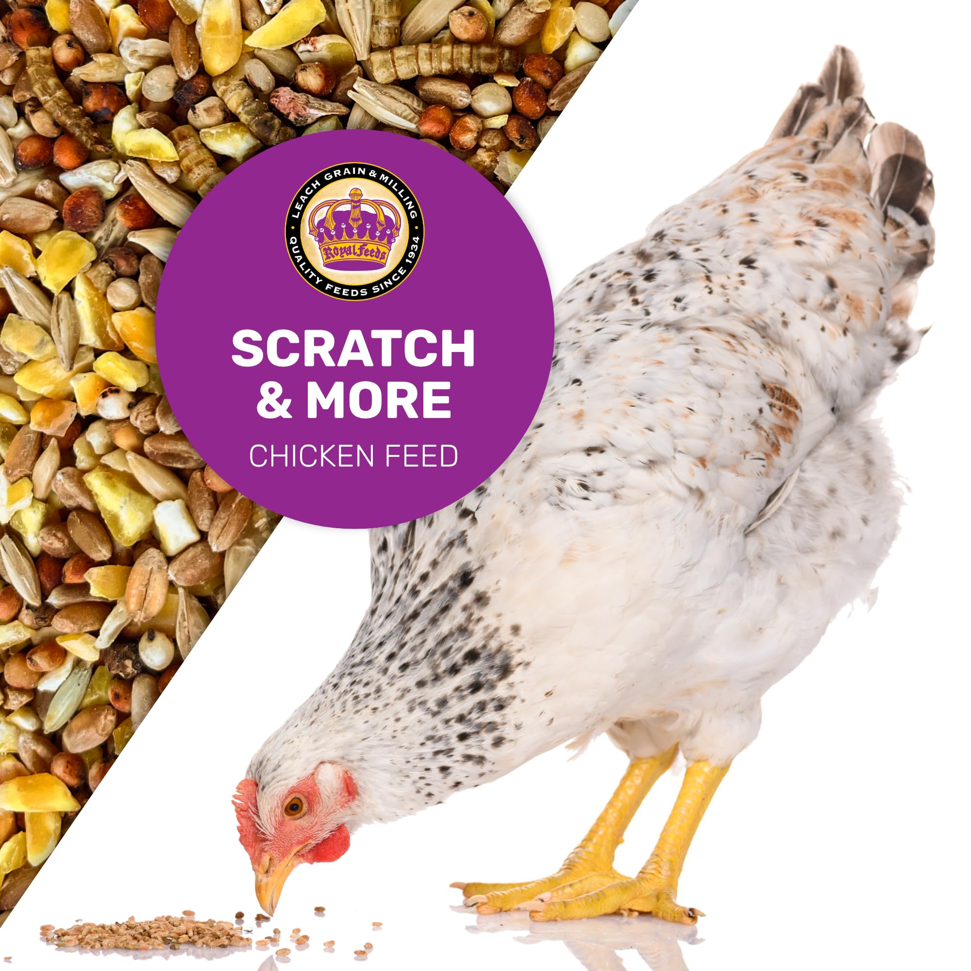 Leach Scratch & More : ingrédients variés pour une diète diversifiée et équilibrée.