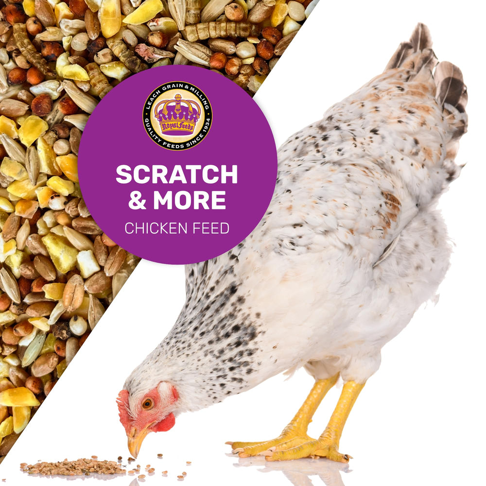 Leach Scratch & More : ingrédients variés pour une diète diversifiée et équilibrée.