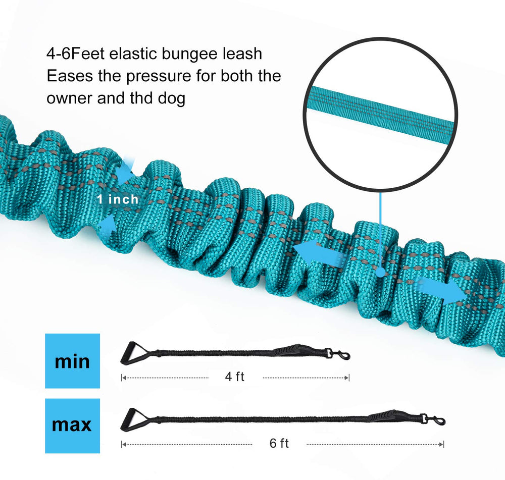 LEADSOM Laisse élastique 6ft – absorption-chocs, sprints et mouvements sans esforço.