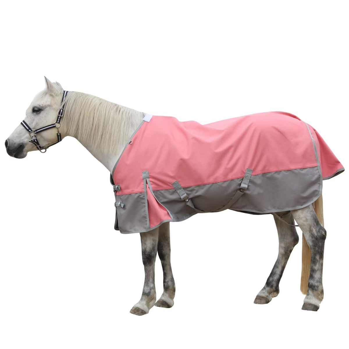 LEAFOREST couverture cheval 1200D, imperméable et durable