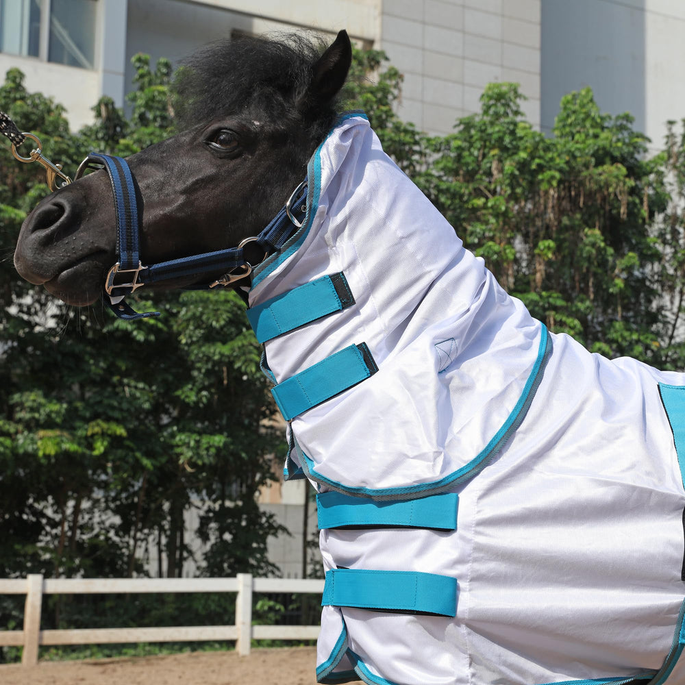 LEAFOREST bande ventrale reglable pour poney miniature, ajuste rapidement et reste en place.
