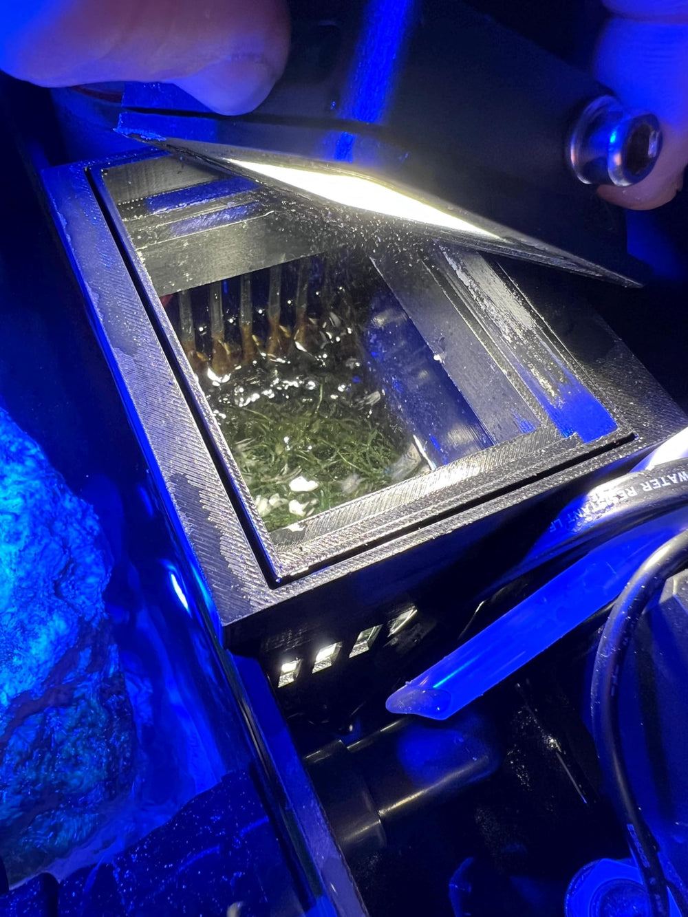Leafgreen Refugium IM Fusion, emplacement central, facilite la culture Chaeto dans le sump