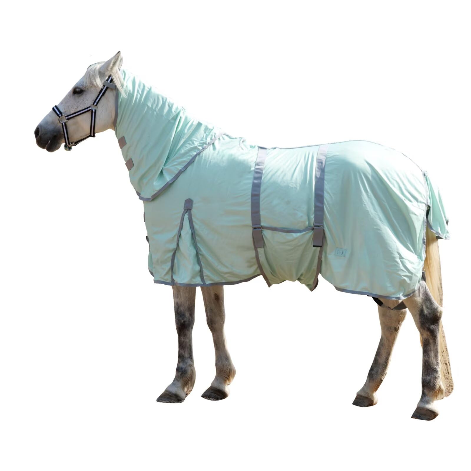 LEAFOREST pare-mouches pour cheval en maille verte protège des insectes