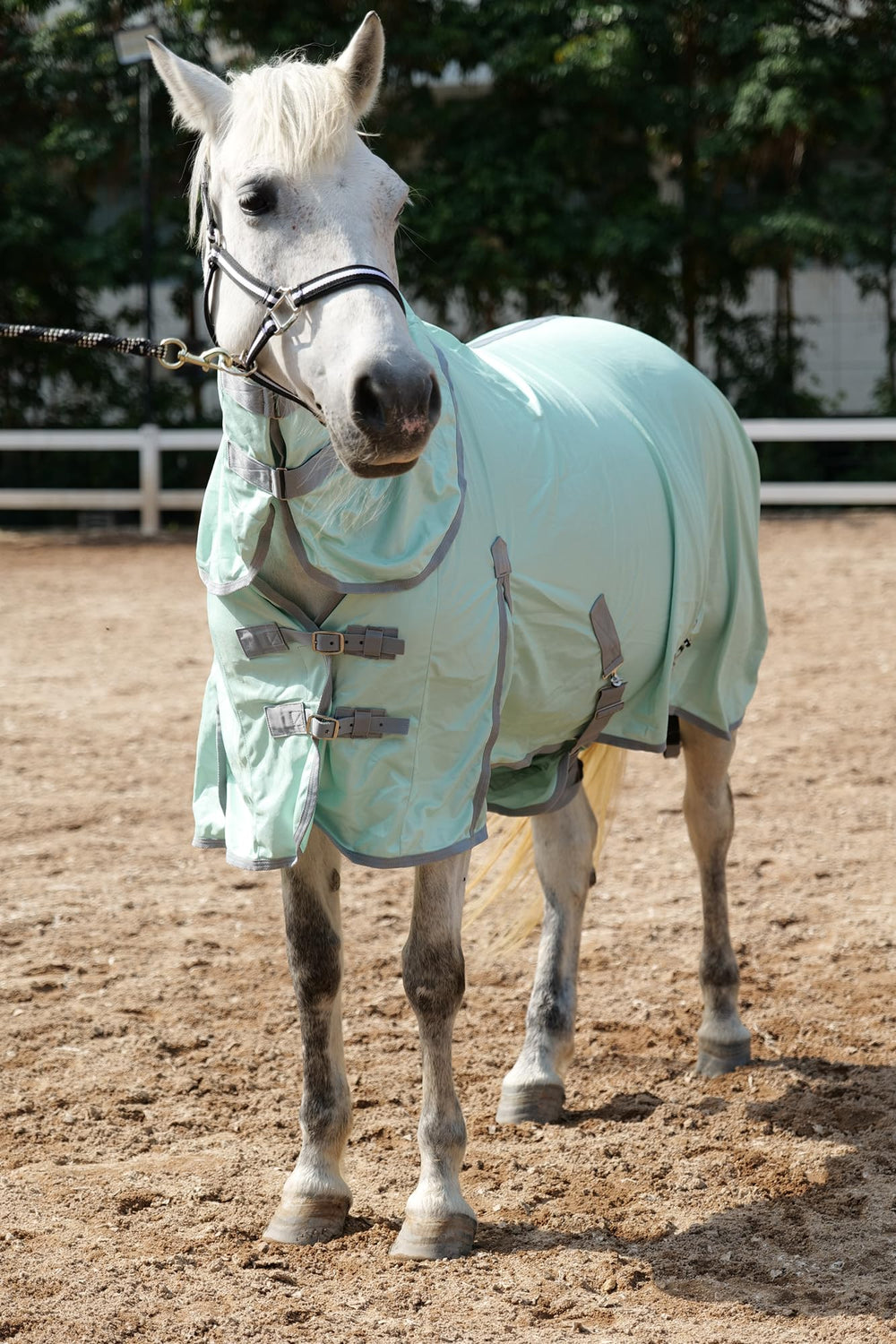 LEAFOREST protection soleil et piqûres cheval maille verte