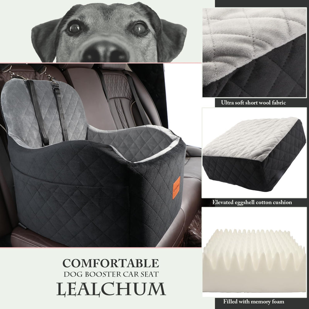 Lealchum design ergonomique arrière protégeant le véhicule et le chien