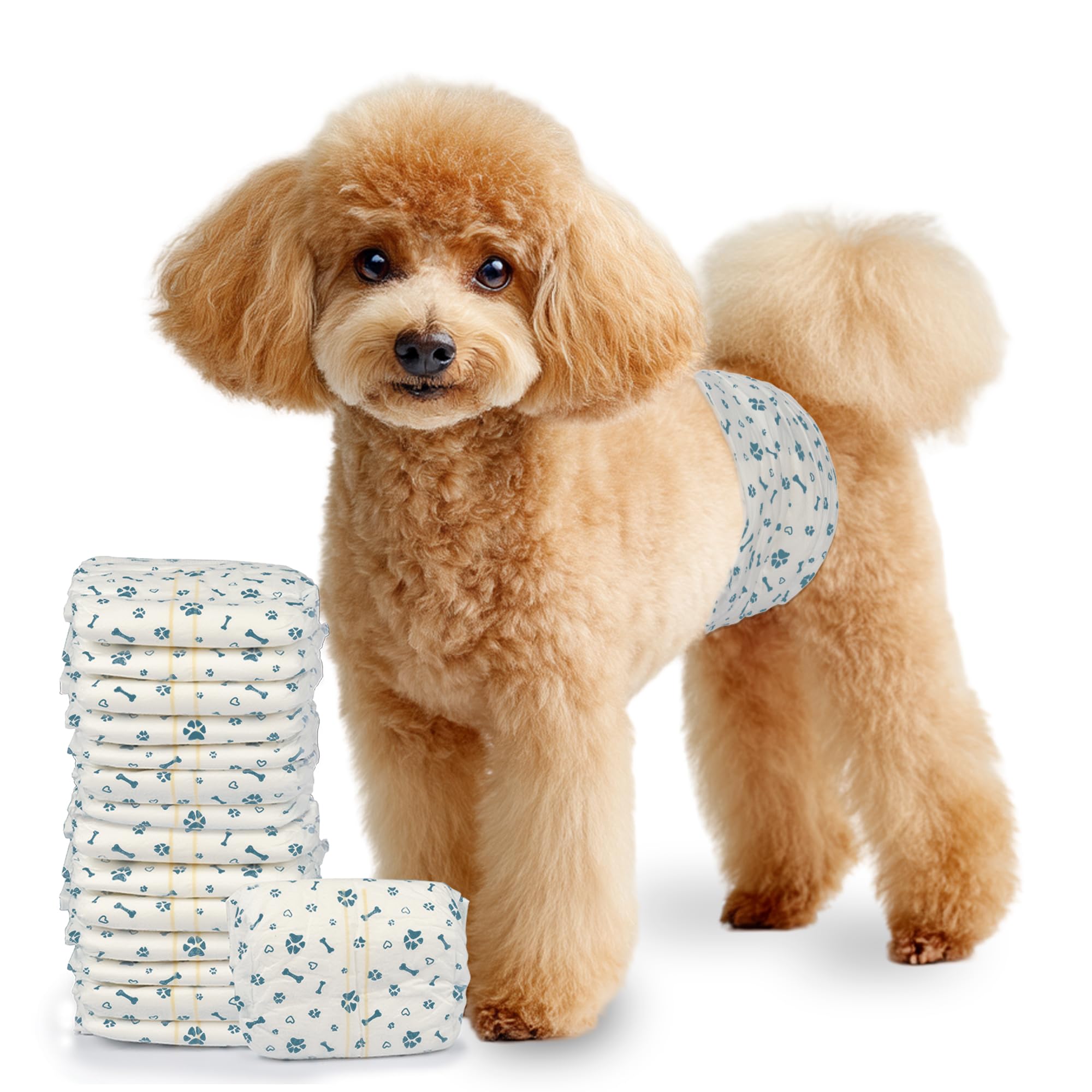 LeapSheep couches jetables pour petit chien mâle; paquet prêt à l'emploi et pratique.