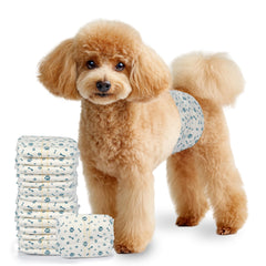 LeapSheep couches jetables pour petit chien mâle; paquet prêt à l'emploi et pratique.