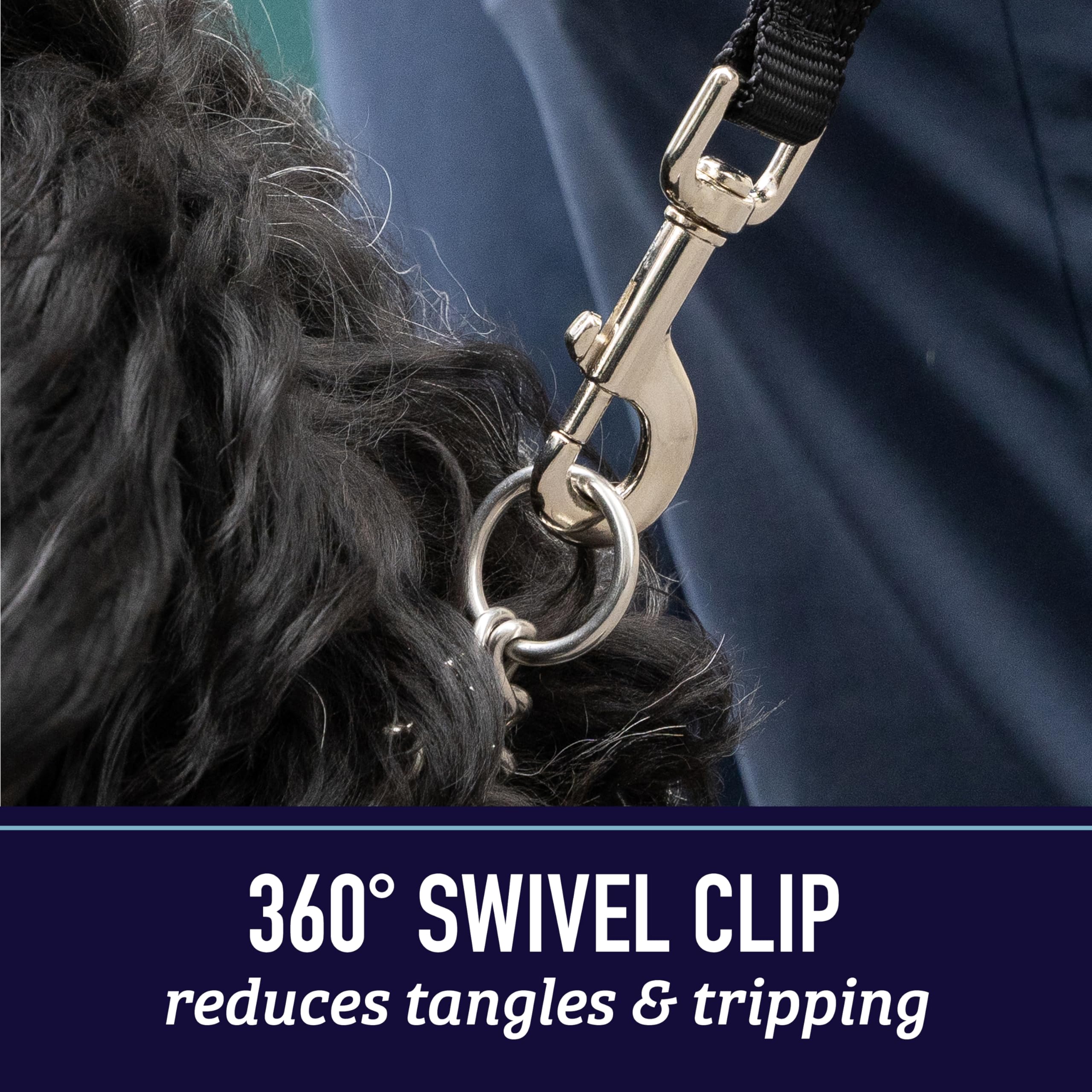 Laisse Leash Boss garantie 5 ans pour une tranquillité durable.