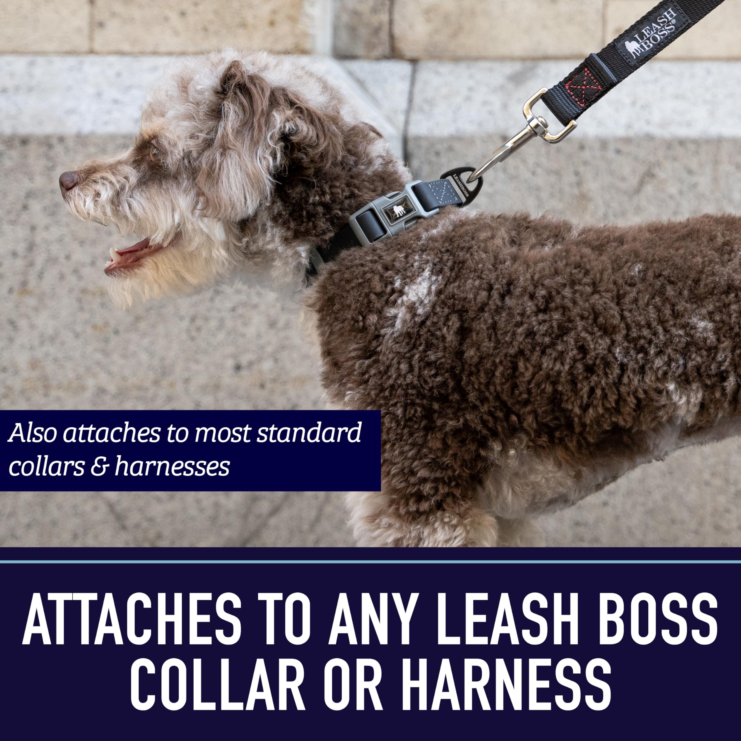Laisse Leash Boss pour promenades en extérieur, stabilité et liberté mesurées.