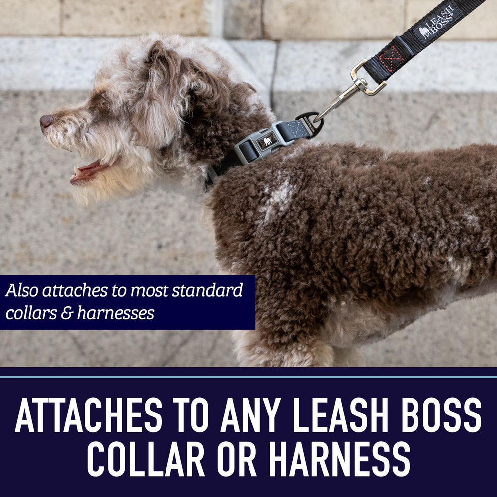 Laisse Leash Boss pour promenades en extérieur, stabilité et liberté mesurées.