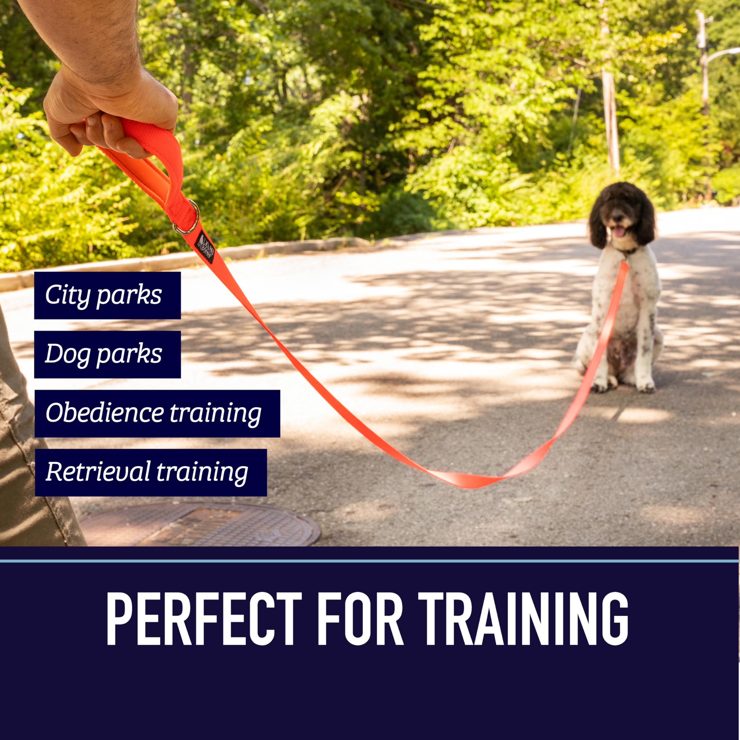 Laisse Leash Boss parfaite pour randonnée et activités en plein air.