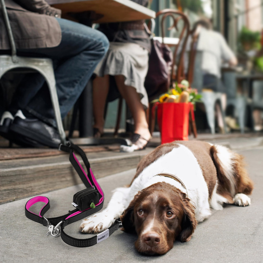 Leashrr 2.0 longueur six pieds adaptée aux chiens de grande taille