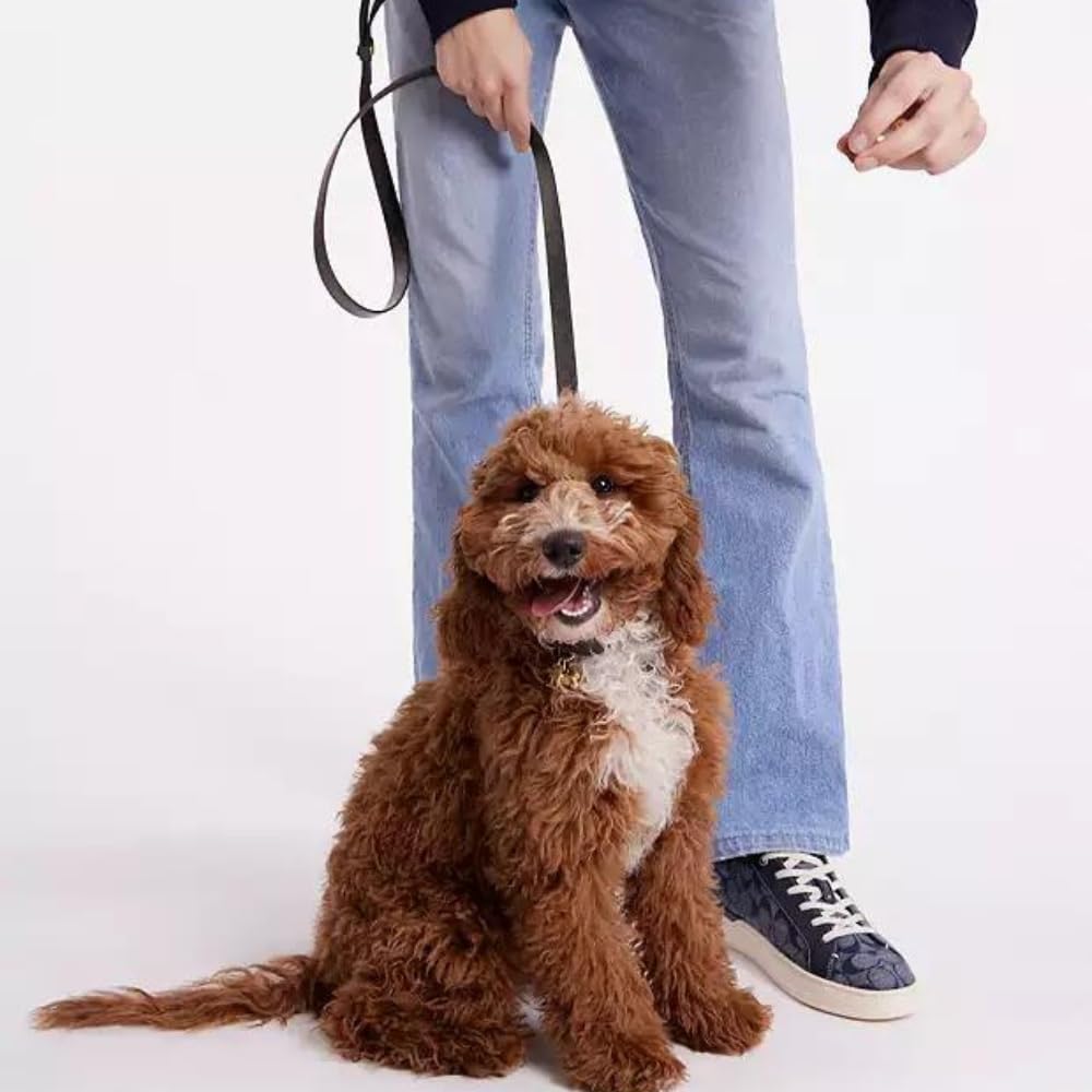 Usage quotidien durable avec Leatherow pour les sorties d'extérieur