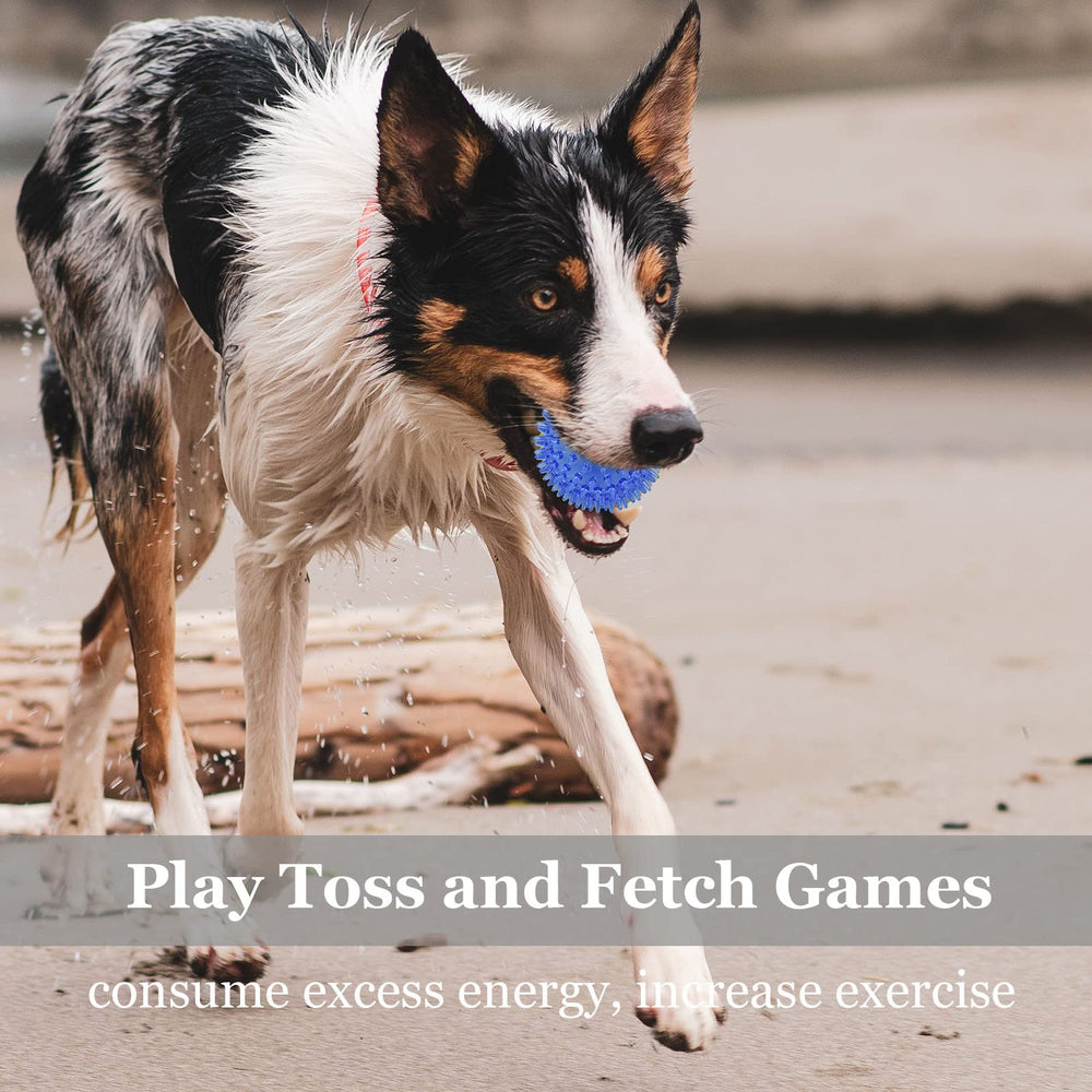 LECHONG jouet pour petits chiens – adapté pour chiots et dentition