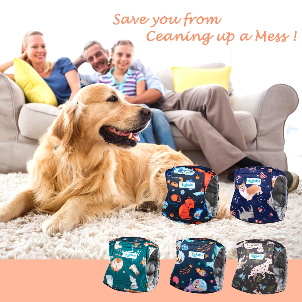 Leekalos couches chien mâle lavage en machine facile à nettoyer