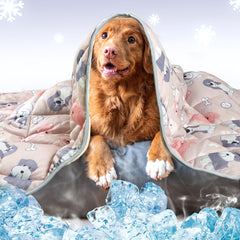 Tapis refroidissant Leekalos pour chien, confort immédiat et frais.