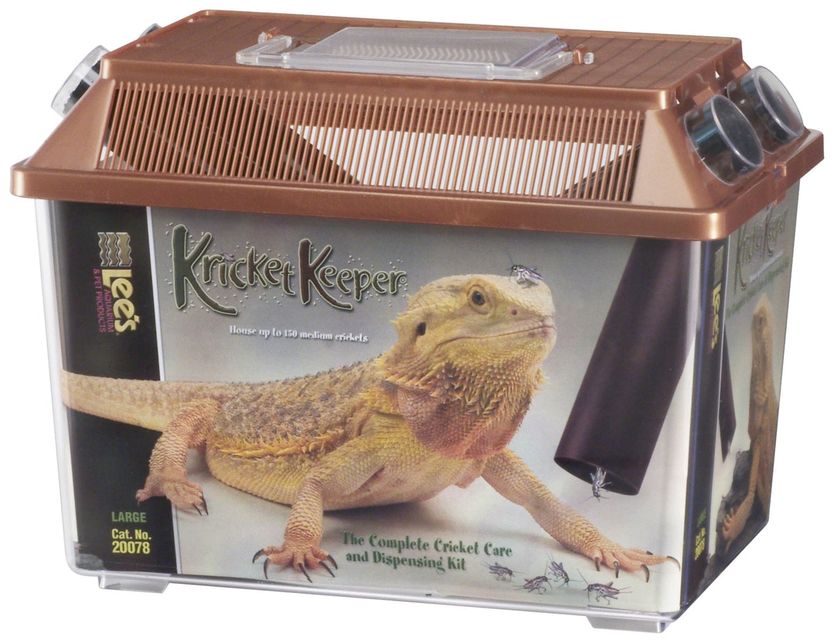 Lee's Kricket Keeper grand format pomme, refuge et distributeur pratique pour grillons.