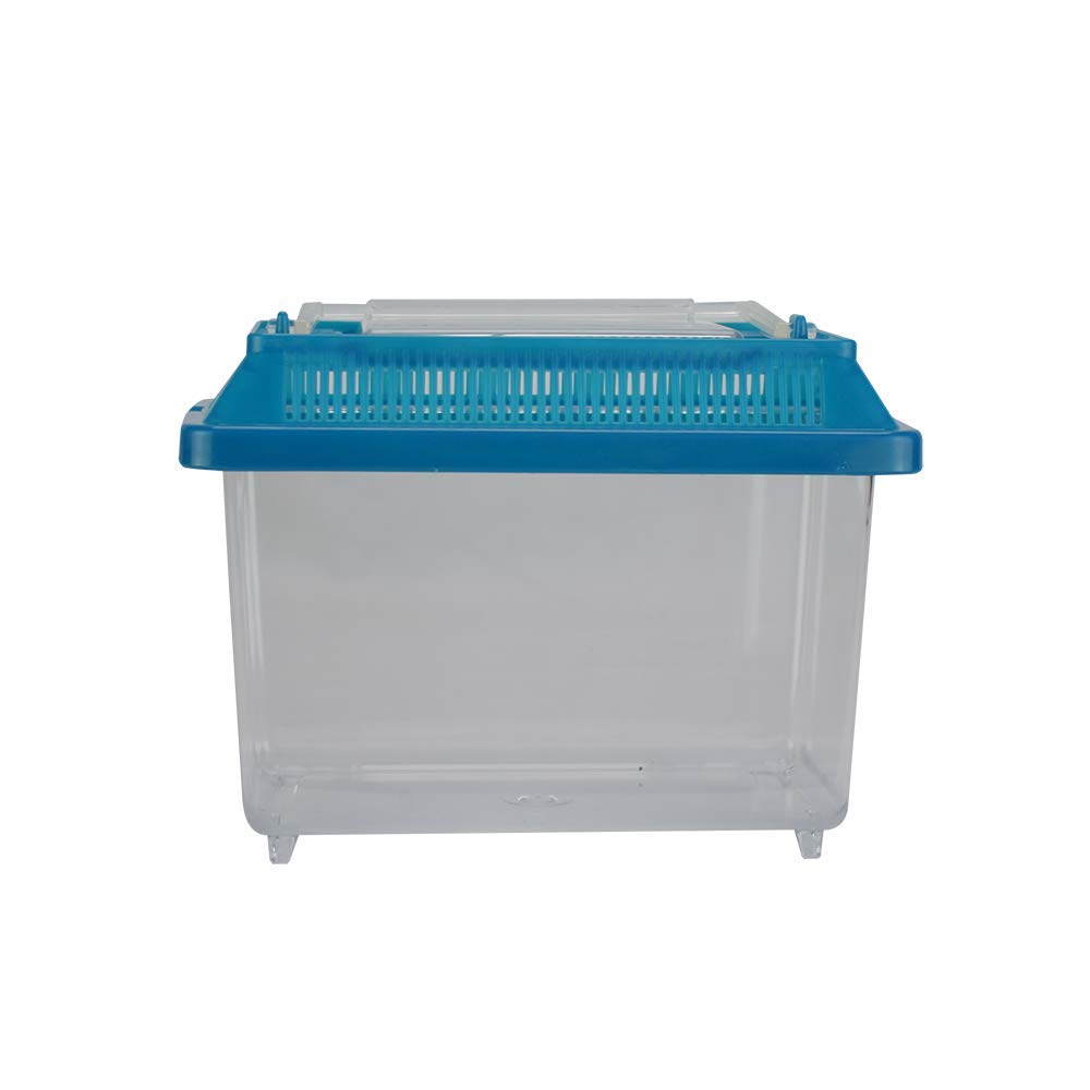 Lee's Kritter Keeper aquarium compact, espace réduit idéal pour un habitat temporaire.