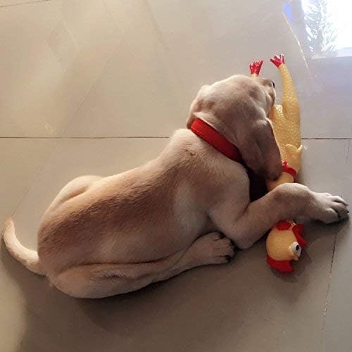 LEGEND SANDY coq criant jaune, idéal comme cadeau ludique pour chiens énergiques