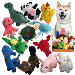 LEGEND SANDY ensemble de 12 jouets peluche avec couineurs pour chiots, divertissement varié.