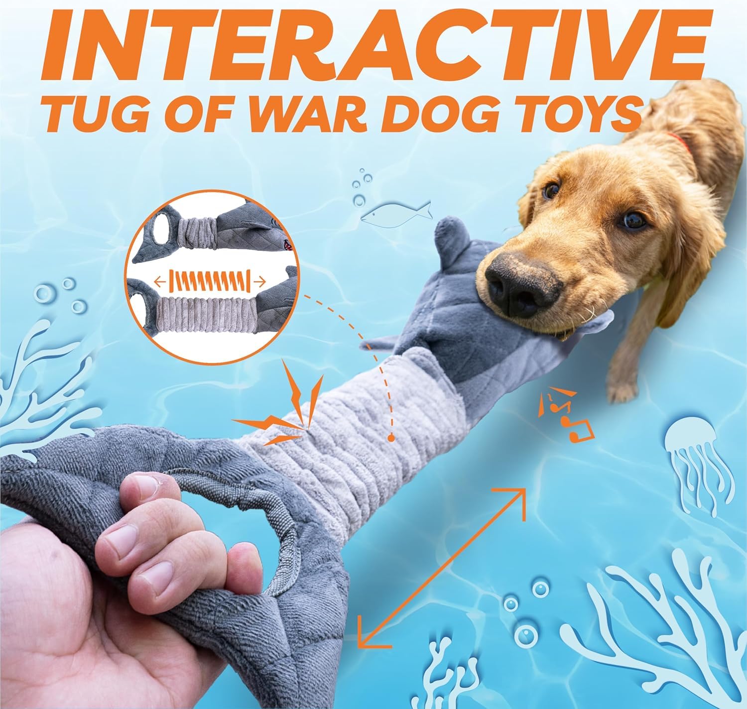LEGEND SANDY interieur-exterieur-usage, compagnon polyvalent pour chien de toutes tailles.