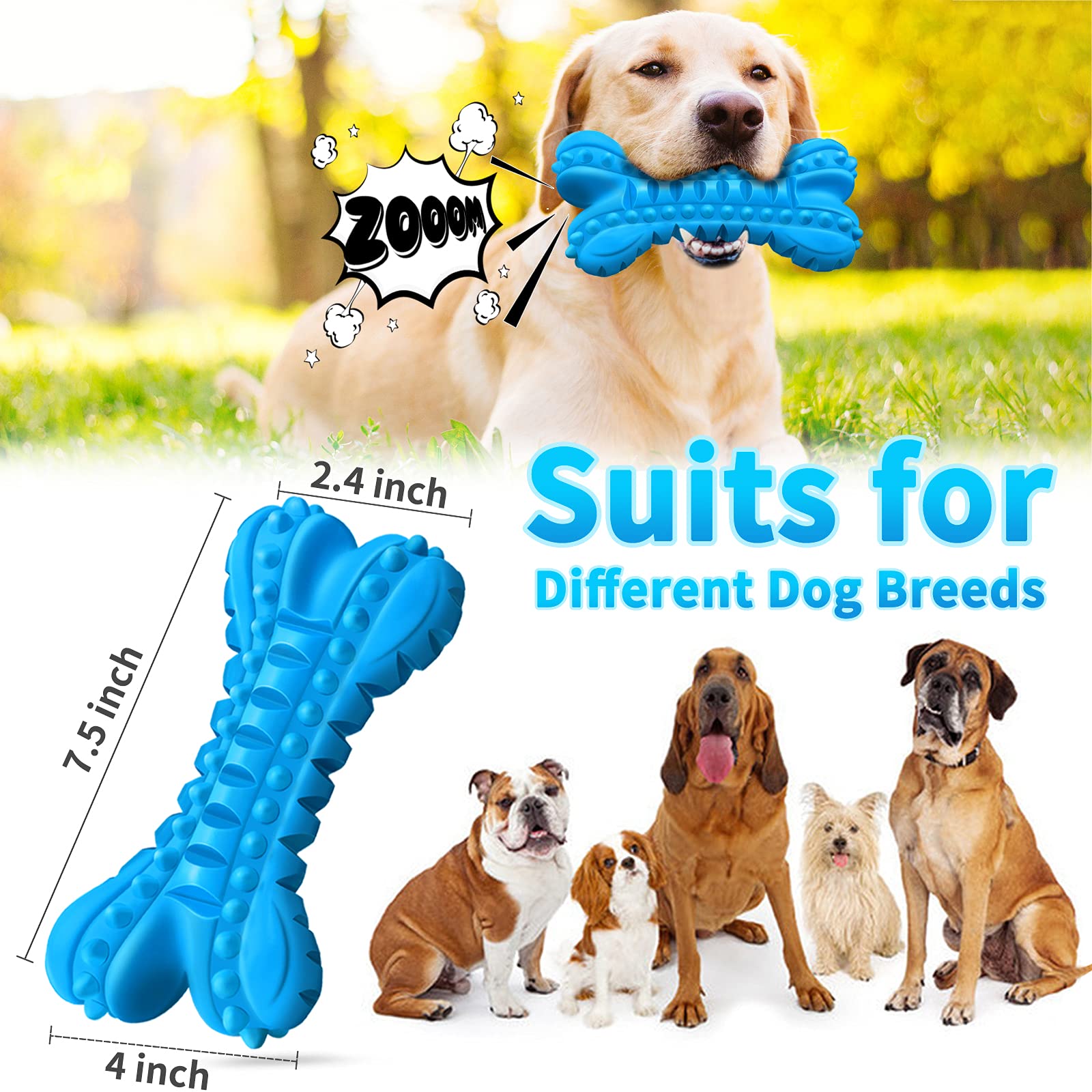 LEGEND SANDY – jouet avec sifflet intégré pour mâchage enthousiaste et énergie.