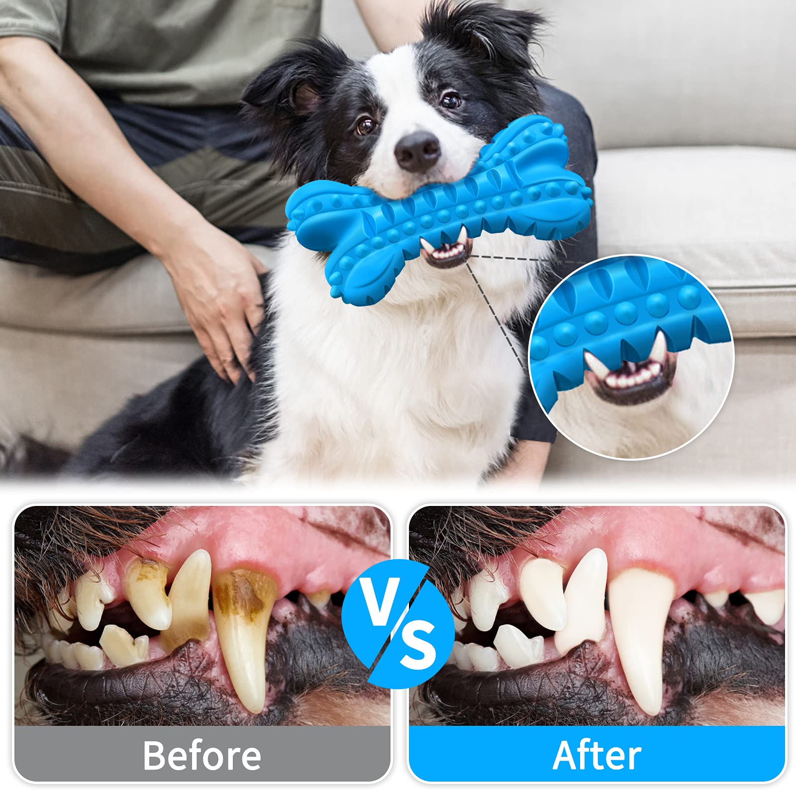 LEGEND SANDY – accessoire dentifaire naturel pour nettoyage des dents et gencives.