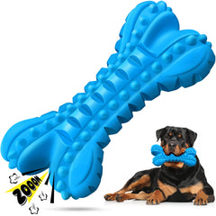 LEGEND SANDY – os à mâcher pour chien, durable et sûr pour grandes races.