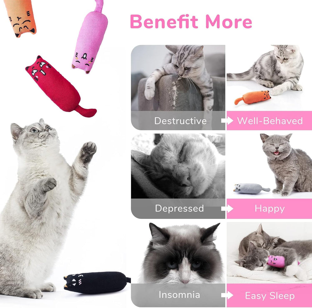 Legendog jouet chat usage intérieur et extérieur, amuse et occupe.