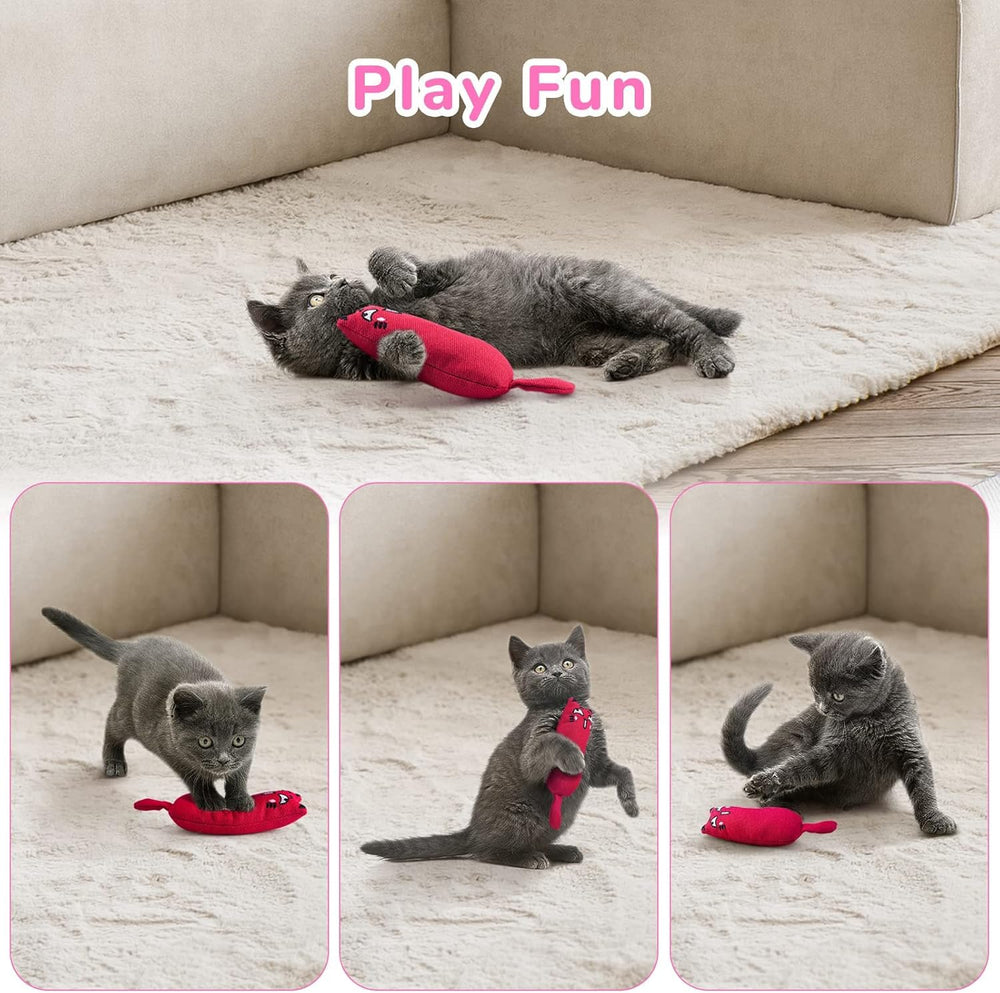 Legendog lot de cinq jouets chat, variation de jeux.