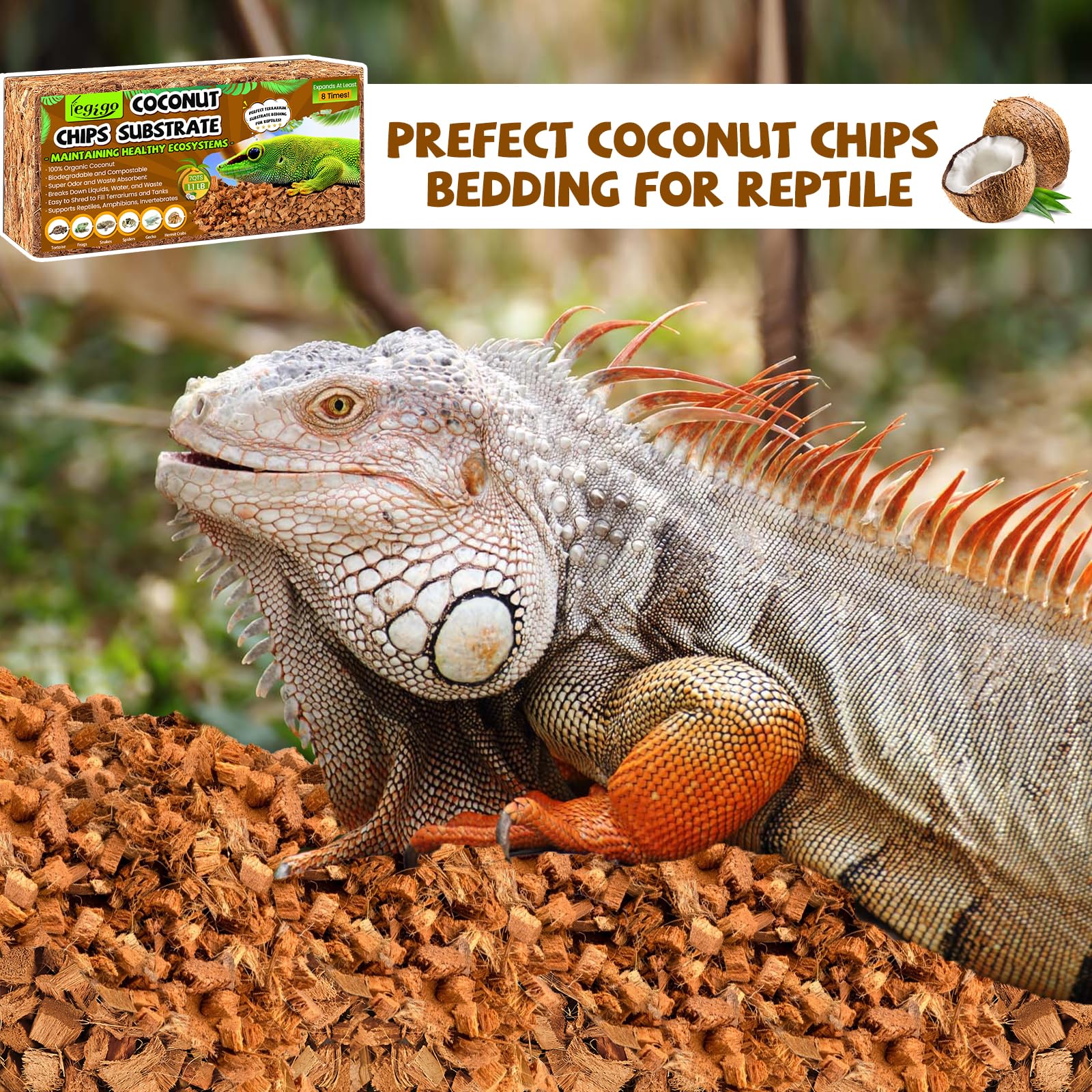 Legigo substrat-coco-multi-usages : polyvalent pour reptiles et jardins.
