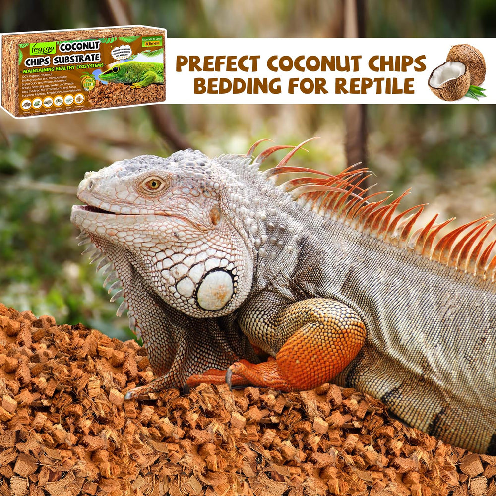 Legigo substrat-coco-multi-usages : polyvalent pour reptiles et jardins.
