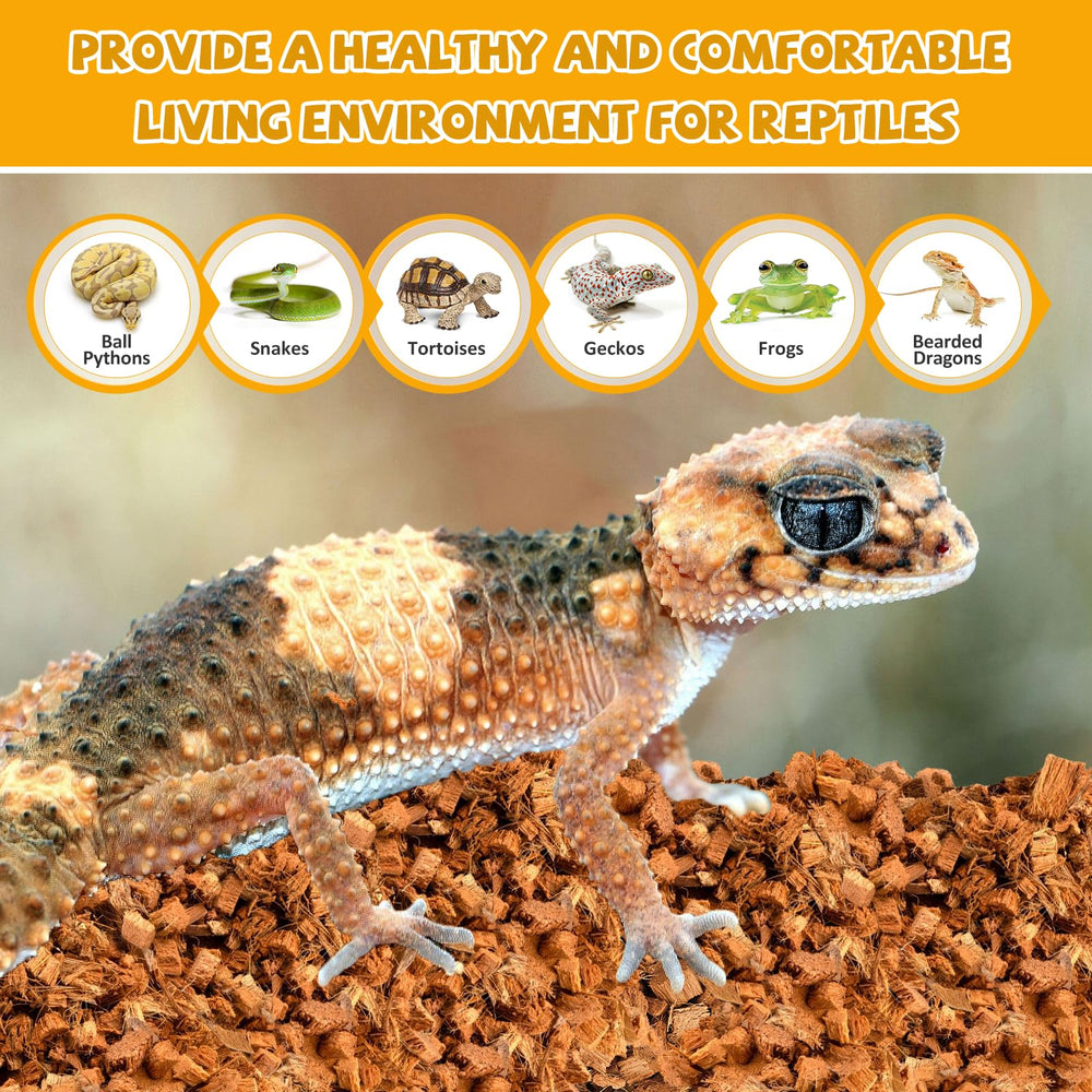 Legigo substrat coco humidité régulée et propreté facilitée pour terrariums.