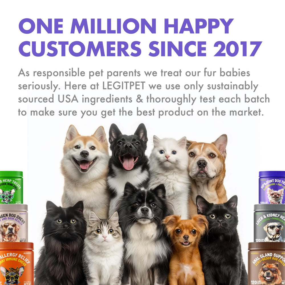 120 friandises molles pour le bien-être quotidien du chien