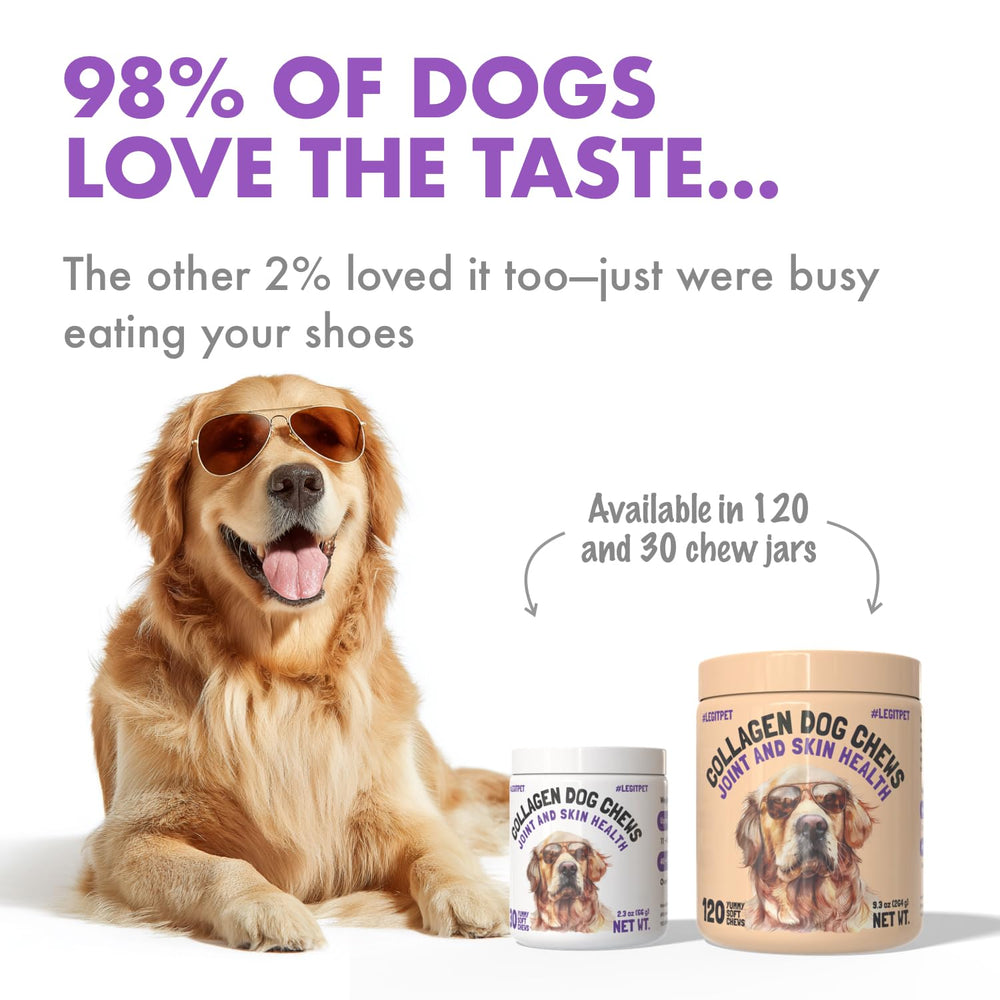 Chien en train de mâcher LEGITPET Collagen Chews, soutien mobilité et articulation.