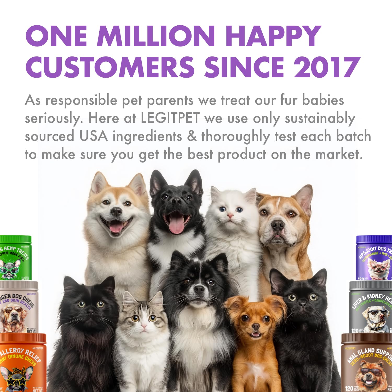 Chien senior profitant des bouchées LEGITPET pour le confort articulaire.