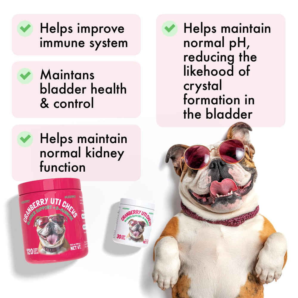 LEGITPET Cranberry UTI Chews chien en train de prendre une friable au goût poulet