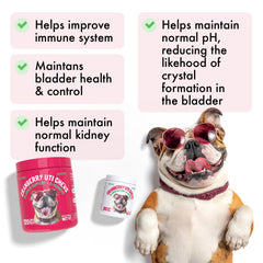 LEGITPET Cranberry UTI Chews chien en train de prendre une friable au goût poulet