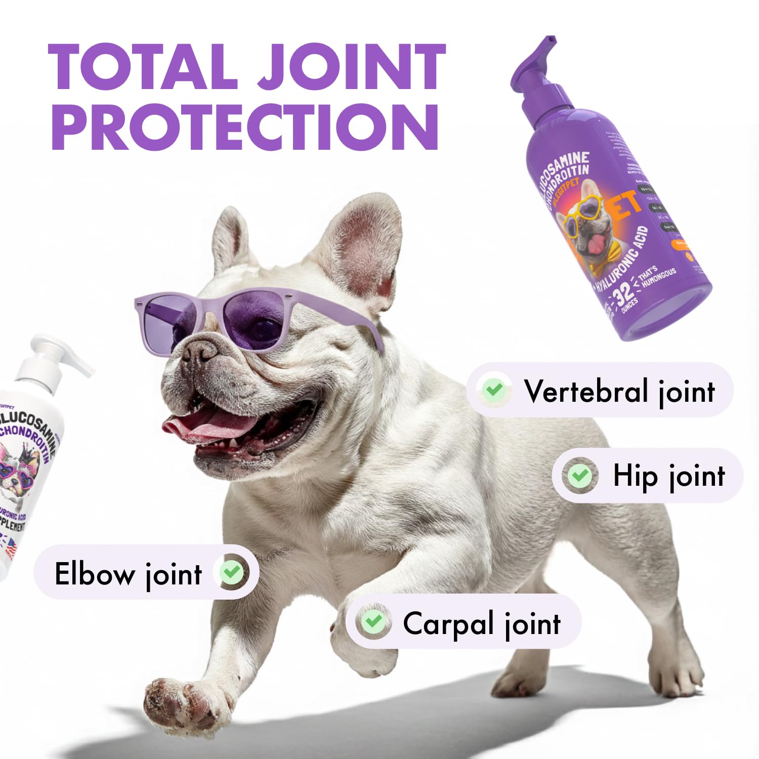 LEGITPET glucosamine liquide pour chien – mélange facile sur nourriture