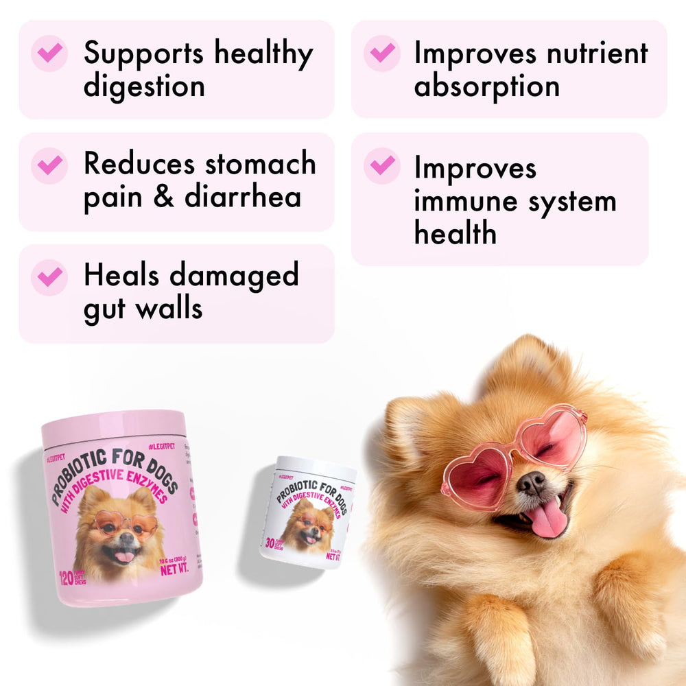 LEGITPET Probiotics pour chiens – ingrédients Lactobacillus pour l'équilibre intestinal.